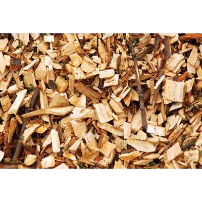 Rubber wood chips for energy/pulp