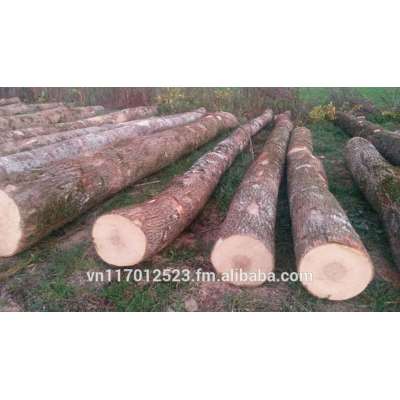 ash logs from Europe