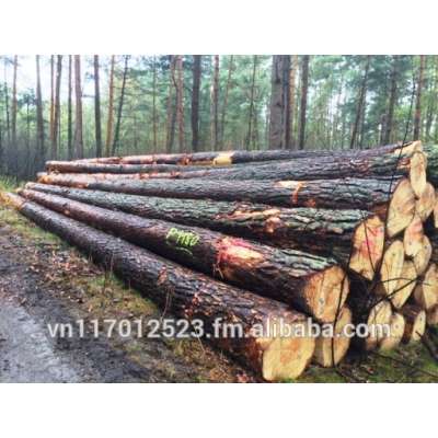 pine log high quality with German origin