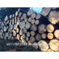 spruce logs from Europe