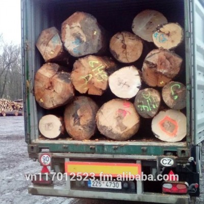 Beech logs for sales